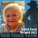 Farm Attacs Ingrid Koch